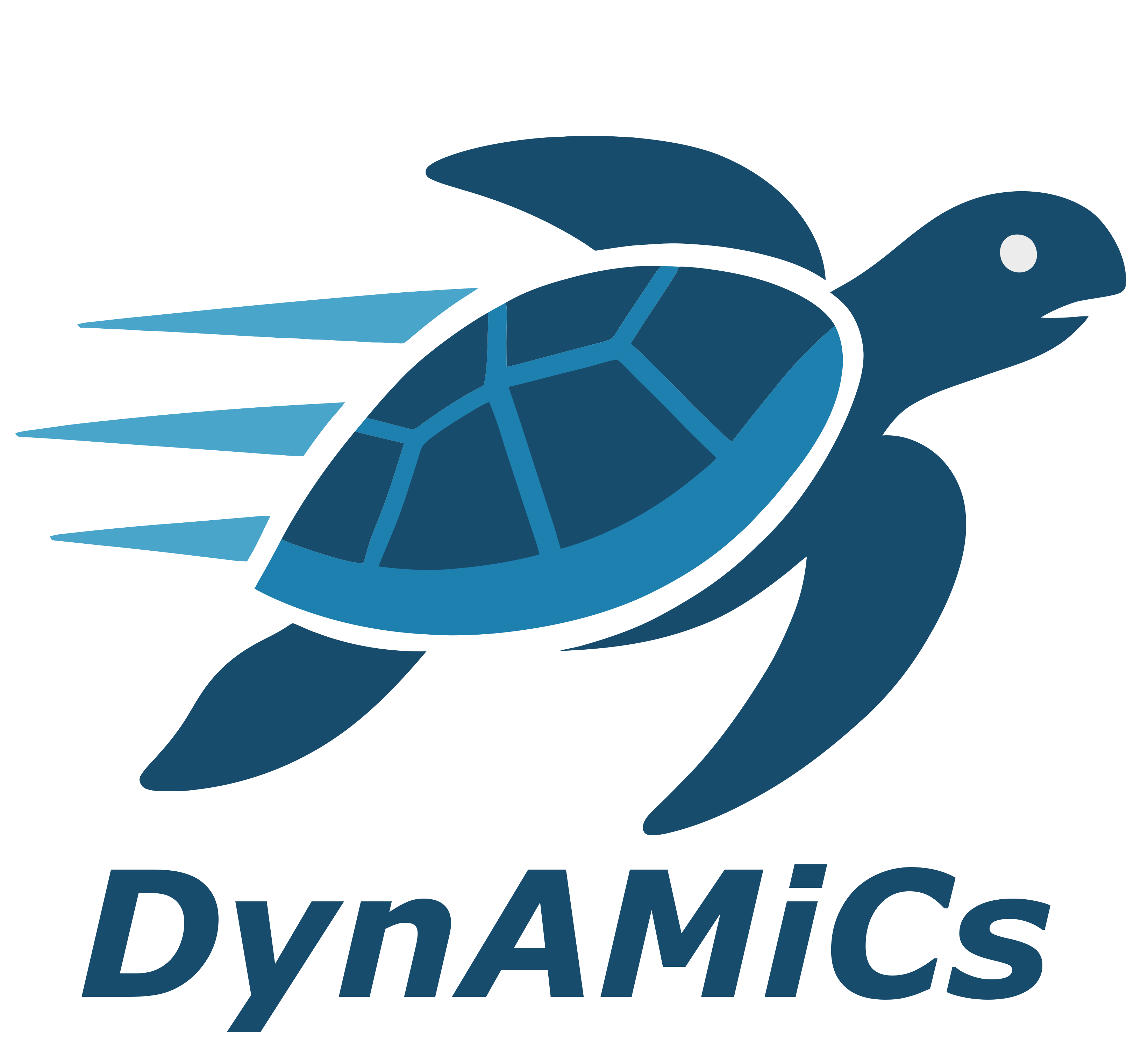DynAMiCs logo